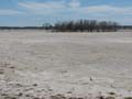 Murray Lagoon